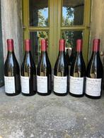 2002 Hospices de Beaune Cuvée Dames de la Charité -, Nieuw