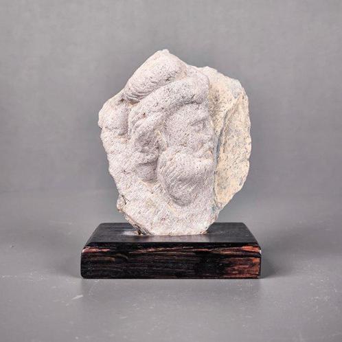 Gandhara Schist boddhistava hoofd mogelijk heracles - 8 cm, Verzamelen, Mineralen en Fossielen