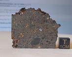 NWA 17700 - maanmeteoriet (troctoliet smeltbreccie) - dunne