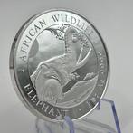 Somalië. 100 Shilling 2023 Wildlife Elephant Silver Coin