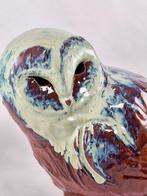 Federico Alibrio - Weeping Barn Owl