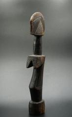 Figuur - POP - mos - Burkina Faso