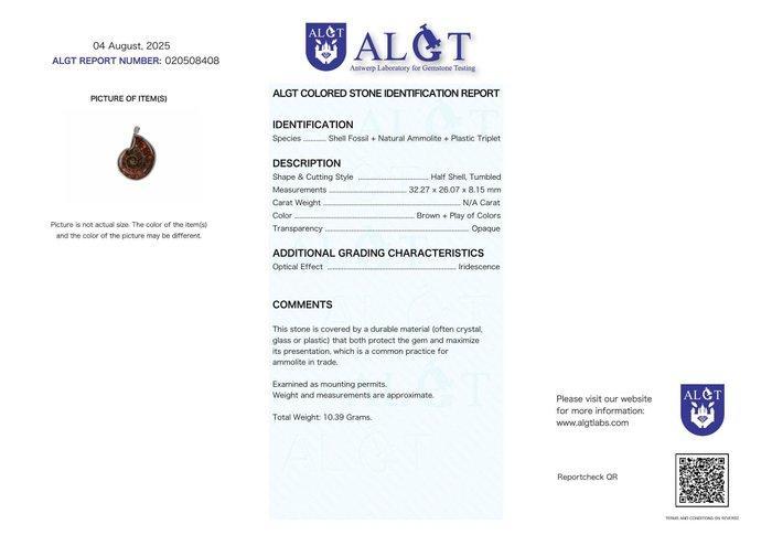 Geen veilingreserve - ALGT-gecertificeerd - Grote en Zeer, Verzamelen, Mineralen en Fossielen