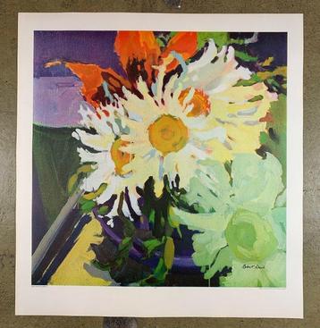 Robert Dash - Daisies - Antiquarian Collotype Print US