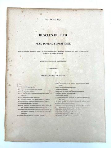 Matériel pédagogique - Nicolas-Henri Jacob & Jean Baptiste