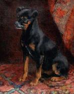 École européenne (XIX) - Japanese Chin-Pinscher