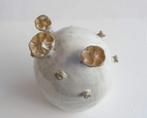 Barry Llewellyn - Sculpture, Adansonia 035 - 20 cm - Faïence