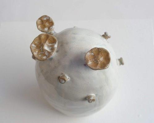 Barry Llewellyn - Sculpture, Adansonia 035 - 20 cm - Faïence, Antiek en Kunst, Kunst | Designobjecten
