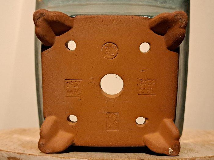 Bonsai schaal - 14,5 cm x 14,5 cm x 8,5 cm - groen, Antiek en Kunst, Curiosa en Brocante