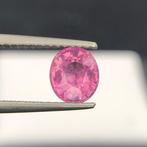 Sans Prix de Réserve - 1 pcs Rose Spinelle - 1.13 ct -, Nieuw