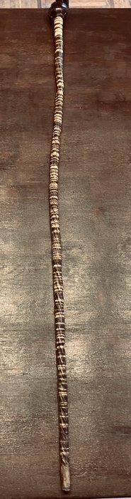 Wandelstok - Hoorn, Antiek en Kunst, Antiek | Overige Antiek