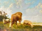 Arthur De Waerhert (1881-1944) - Vache et moutons dans un