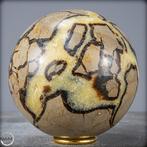 Natuurlijke topkwaliteit Big Septarian Gebied- 2530.12 g, Nieuw