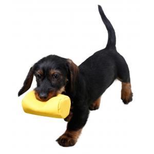 Rouleau dapprentissage jaune, 16x7cm, Animaux & Accessoires, Accessoires pour chiens