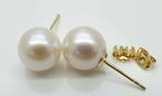 Zonder Minimumprijs - Oorstekers - 14 karaat Geel goud Parel, Handtassen en Accessoires, Antieke sieraden