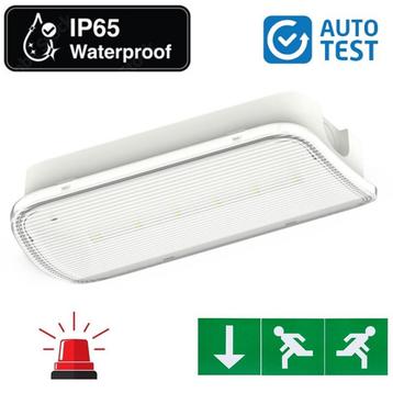 Autotest LED Noodverlichting | 1 Watt | Vluchtweg nood beschikbaar voor biedingen