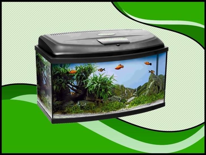 Classic box 100 panorama aquarium (Classic box aquariums), Dieren en Toebehoren, Vissen | Aquaria en Toebehoren, Nieuw, Verzenden