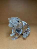 Swarovski - Figurine - Grote Grizzly Beer - 243880 - Cristal