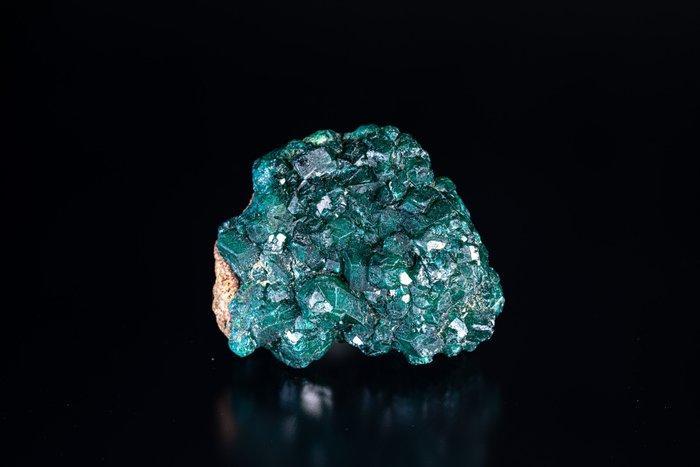 EXCEPTIONELE Dioptase uit Congo – 175,72 karaat Geen, Collections, Minéraux & Fossiles