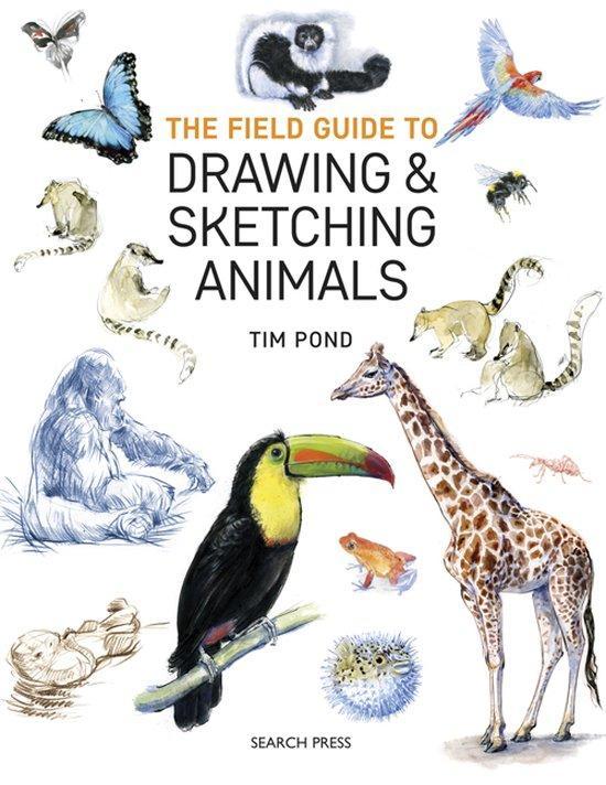 The Field Guide to Drawing & Sketching Animals 9781782215127, Livres, Langue | Anglais, Envoi