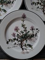 Villeroy & Boch - Bord (6) - Botanica - Vitro-Porzellan -