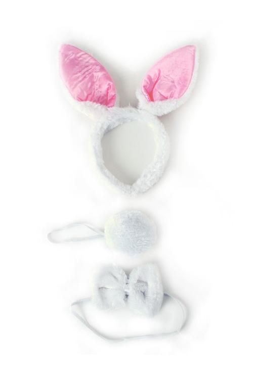 Haarband Set Konijn Oren Staart Diadeem Wit Oortjes Haas Paa, Kleding | Dames, Carnavalskleding en Feestkleding, Nieuw, Ophalen of Verzenden