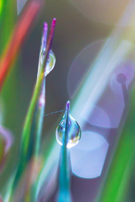 Inna Etuvgi - Rainbow Walkers, Antiek en Kunst, Kunst | Designobjecten