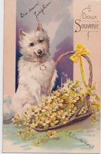 FANTASIE (165x) - ANIMAUX - Chevaux - Chats - Chiens -