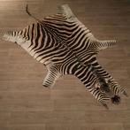 Zebrahuid Taxidermie Opgezette Dieren By Max, Ophalen of Verzenden, Opgezet dier