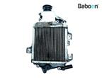 Radiateur Honda NSS 125 Forza 2017-2018 (NSS125 JF69), Verzenden, Gebruikt
