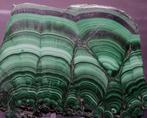 Malachite Poli - Hauteur : 9.5 cm - Largeur : 7 cm- 145 g, Verzamelen, Mineralen en Fossielen
