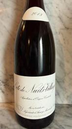2013 Leroy, Cote de Nuits-Villages - Bourgogne - 1 Fles, Nieuw