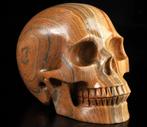 Geweldige 1.295 kg houten jaspis Schedel - Hand Carved Skull