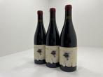 2023 Oxer Basteguieta, Suzzane - Rioja DOC - 3 Bouteilles, Nieuw