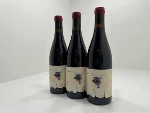 2023 Oxer Basteguieta, Suzzane - Rioja DOC - 3 Bouteilles, Verzamelen, Wijnen