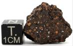 ACFER 404 CR2 Koolhoudende chondrite meteoriet - 6.46 g -