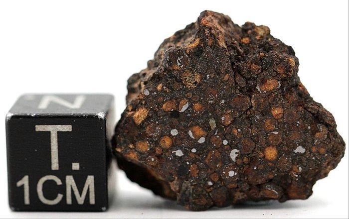 ACFER 404 CR2 Koolhoudende chondrite meteoriet - 6.46 g -, Verzamelen, Mineralen en Fossielen