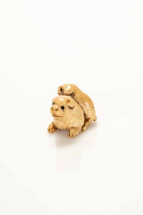 Een fijne en zachte hertenantler netsuke waarop twee puppys, Antiek en Kunst, Antiek | Overige Antiek
