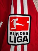 FC Bayern München - Championnat dAllemagne de Football -