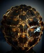 carapace de tortue Carapace - Chelonia mydas - 46 cm - 41 cm