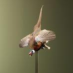 Fazant Vliegend Taxidermie Opgezette Dieren By Max, Ophalen of Verzenden, Nieuw, Vogel, Opgezet dier