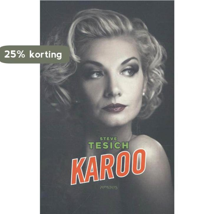 Karoo 9789044625509 Steve Tesich, Boeken, Romans, Gelezen, Verzenden