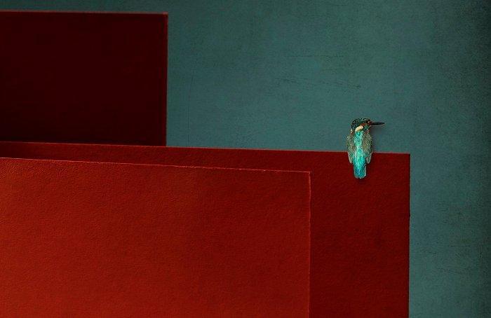 Tere Ormazabal - Bodegones con pájaro 03, Antiek en Kunst, Kunst | Designobjecten