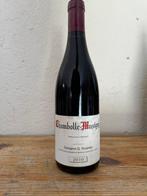 2010 George Roumier - Chambolle Musigny - 1 Fles (0,75, Verzamelen, Wijnen, Nieuw