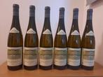 2022 Weingut Schloss Gobelsburg, Riesling Zöbinger, Verzamelen, Nieuw