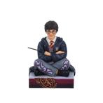 Harry Potter The Chosen One 10 cm, Ophalen of Verzenden