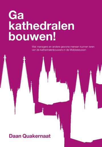 Ga kathedralen bouwen! 9789081775700 Daan Quakernaat, Verzenden, Daan Quakernaat