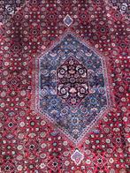 Bidjar - Tapijt - 326 cm - 234 cm, Nieuw