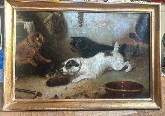 Scuola inglese (XIX) - Cani che giocano in una cucina, Antiek en Kunst, Kunst | Schilderijen | Klassiek