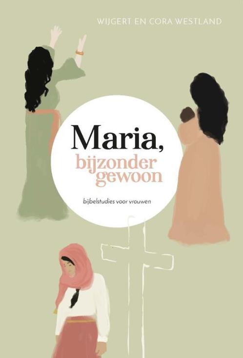 Maria, bijzonder gewoon 9789088973192 Wijgert Westland, Boeken, Overige Boeken, Zo goed als nieuw, Verzenden